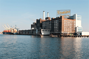 Domino sugar plant