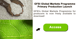 GFSI program