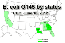 E. coli O145 map-feature