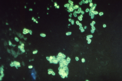 Investigation underway after E. coli kills Oregon child