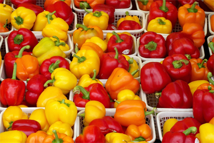 Fresh food sales continue to grow