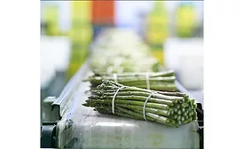 Parker - Innovative Packaging Design whitepaper