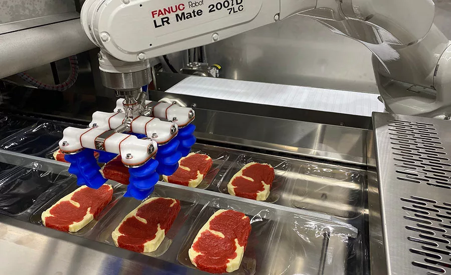 flexible robotic loading system