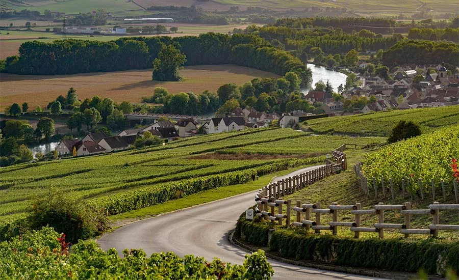 Track and trace for the vineyards in the Champagne region of France