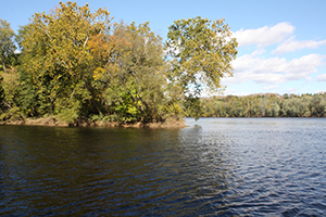 Delaware River Island (Photo-Wayne Labs)