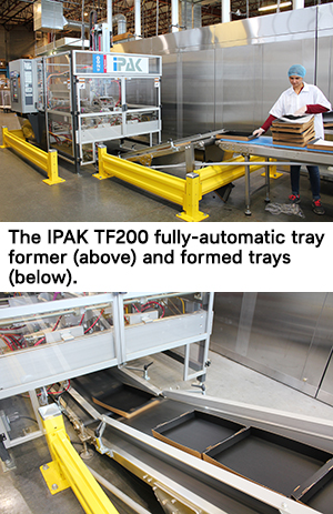 IPAK TF200 fully-automatic tray former