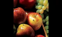 FlyOnAppleHres_900x550.jpeg Flies on apples
