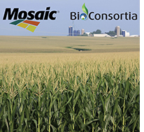 BioConsortia-Mosaic partnership