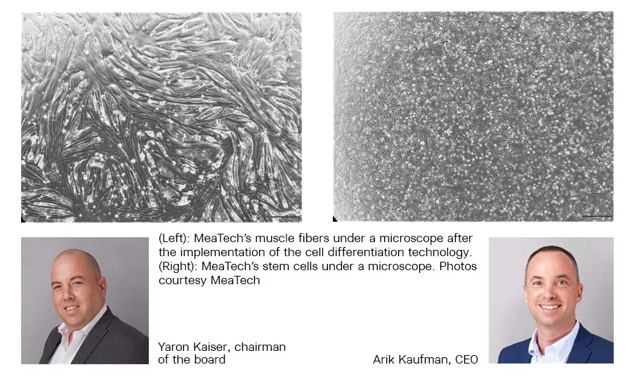 Novel technology uses 3D printing to fuse muscle cells into significant muscle fibers