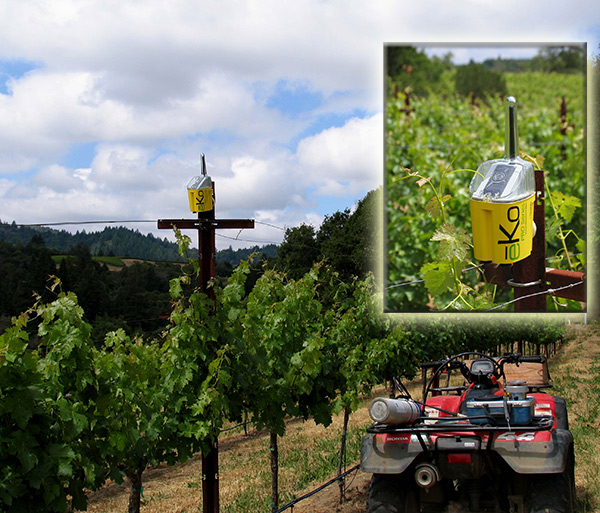 Crossbow Technology’s ēKo crop monitoring system is installed at Camalie Vineyards in Napa, CA. 