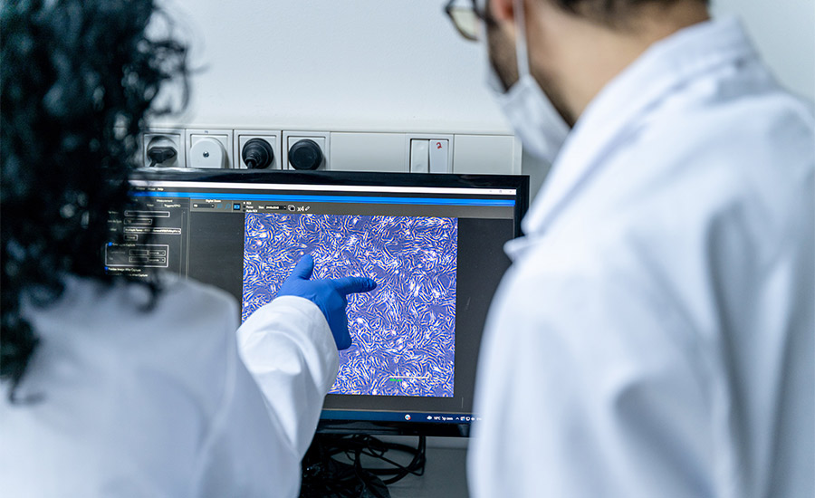Aleph Farms’ scientists, Dr. Keren Tazat-Fireberg and Dr. Hezi Hayun, analyze collagen-producing cells under a microscope. Photo courtesy Aleph Farms