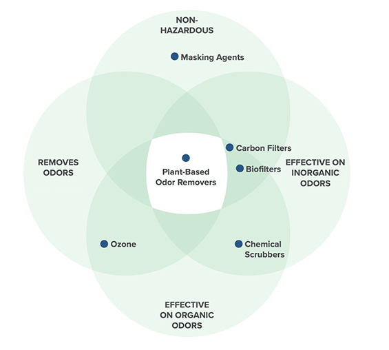 Modern plant-based odor removers occupy the sweet spot of safe and effective odor neutralization