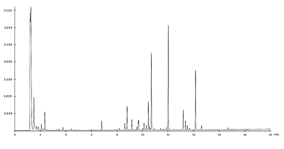 Each peak in a GC chromatogram represents the presence of a compound