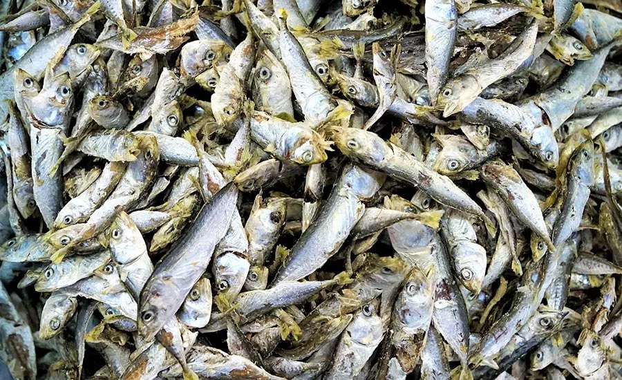 One common ingredient at industrial scale can cause odor problems for neighbors