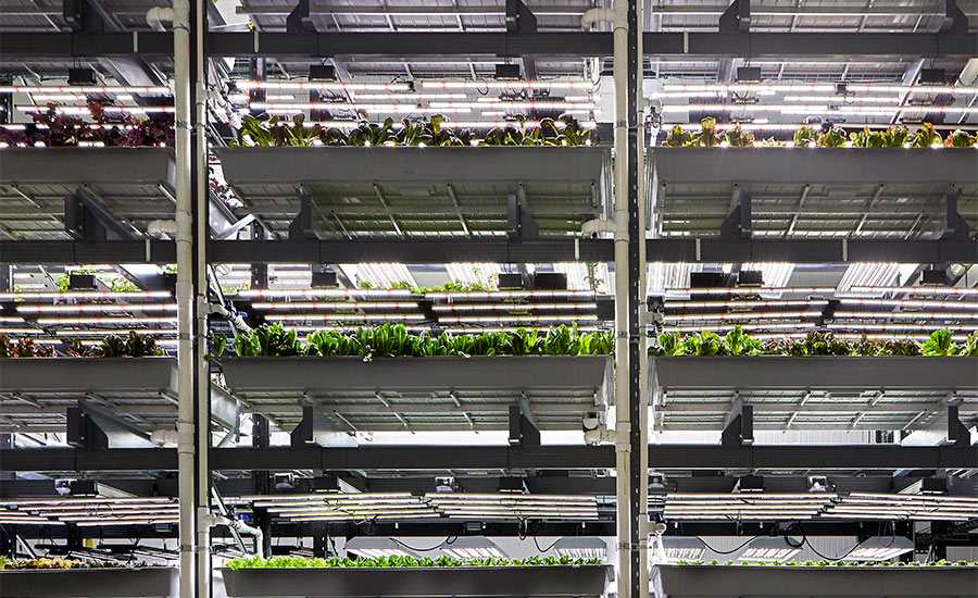 Bowery Farming opens vertical farm in Bethlehem Steel’s vacated property