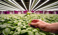 Future Crops new vertical farm in Westland, Netherlands 