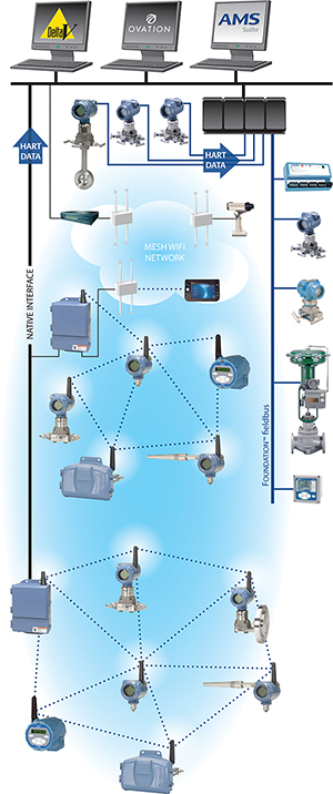 Emerson mesh network example