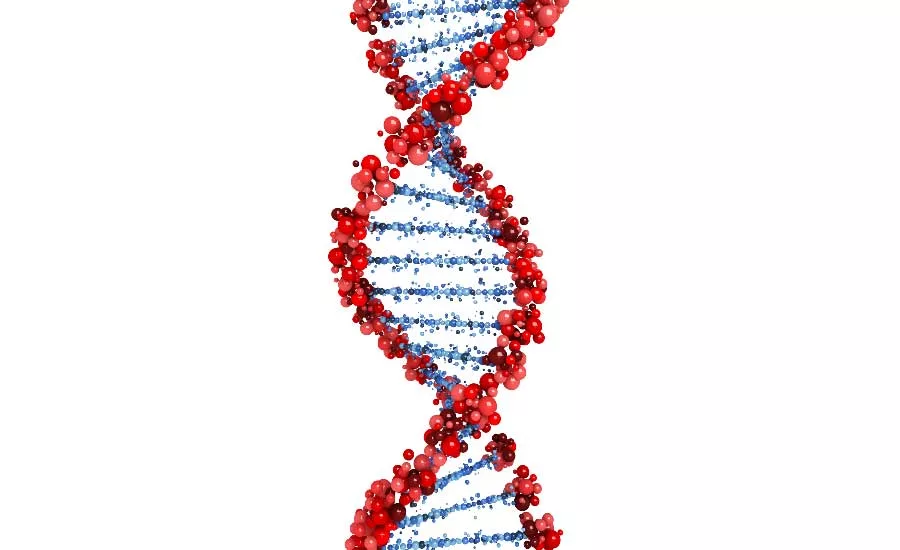 DNA