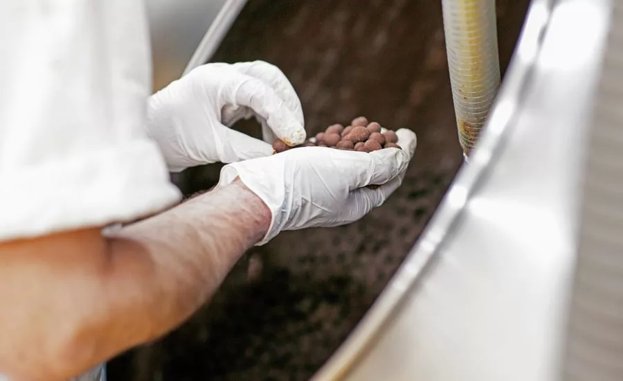 Hand Holding Panned Chocolates